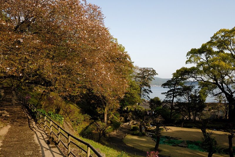 錦江湾を望む木立の小道